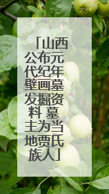 山西公布元代纪年壁画墓发掘资料 墓主为当地贾氏族人