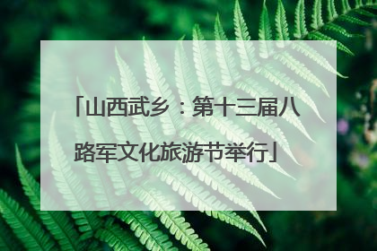山西武乡：第十三届八路军文化旅游节举行