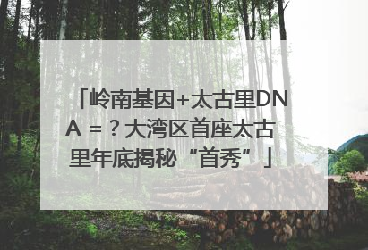 岭南基因+太古里DNA =？大湾区首座太古里年底揭秘“首秀”