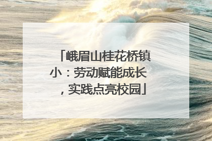 峨眉山桂花桥镇小：劳动赋能成长，实践点亮校园