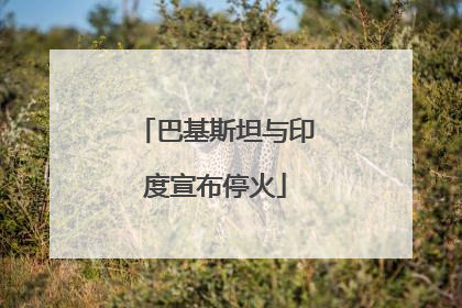 巴基斯坦与印度宣布停火