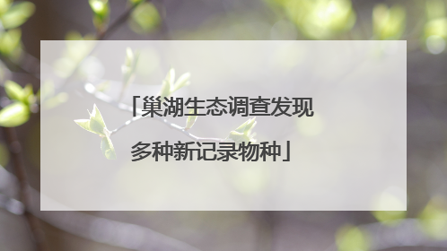 巢湖生态调查发现多种新记录物种