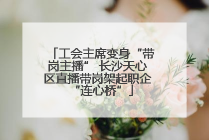 工会主席变身“带岗主播” 长沙天心区直播带岗架起职企“连心桥”