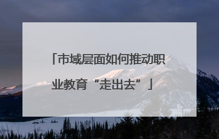市域层面如何推动职业教育“走出去”