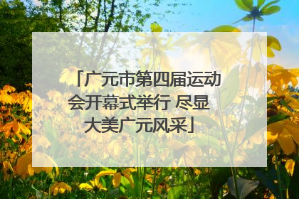 广元市第四届运动会开幕式举行 尽显大美广元风采