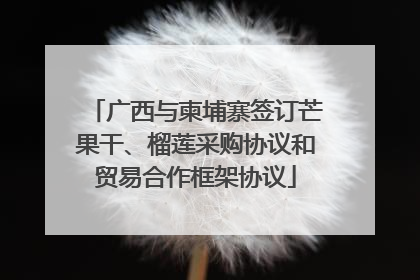 广西与柬埔寨签订芒果干、榴莲采购协议和贸易合作框架协议