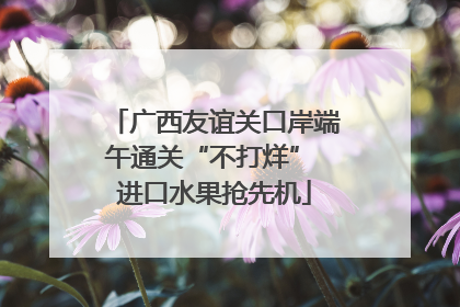 广西友谊关口岸端午通关“不打烊” 进口水果抢先机