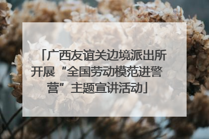广西友谊关边境派出所开展“全国劳动模范进警营”主题宣讲活动
