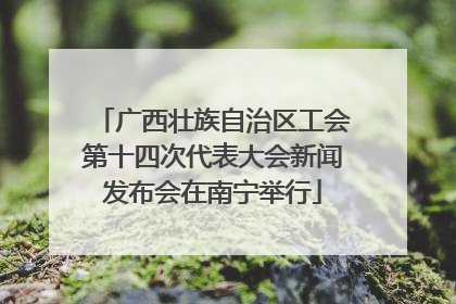 广西壮族自治区工会第十四次代表大会新闻发布会在南宁举行