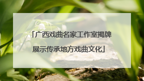 广西戏曲名家工作室揭牌 展示传承地方戏曲文化