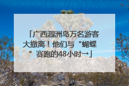 广西涠洲岛万名游客大撤离！他们与“蝴蝶”赛跑的48小时→