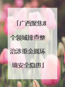 广西聚焦8个领域排查整治涉重金属环境安全隐患