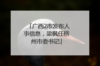 广西2市发布人事信息，梁枫任横州市委书记
