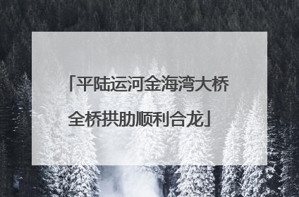 平陆运河金海湾大桥全桥拱肋顺利合龙