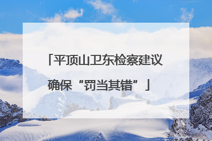 平顶山卫东检察建议确保“罚当其错”