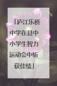 庐江乐桥中学在县中小学生智力运动会中斩获佳绩