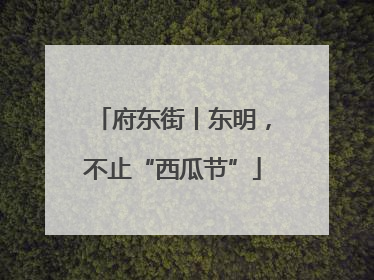 府东街丨东明，不止“西瓜节”