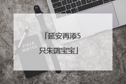 延安再添5只朱鹮宝宝