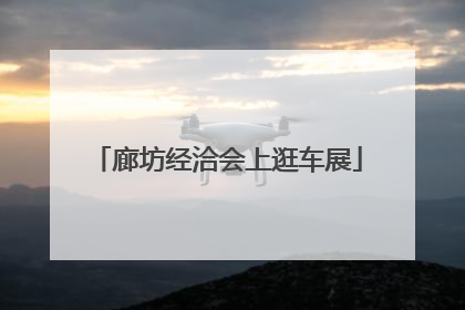 廊坊经洽会上逛车展