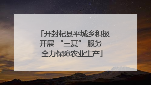 开封杞县平城乡积极开展 “三夏” 服务 全力保障农业生产
