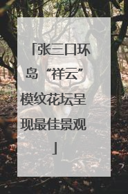张三口环岛“祥云”模纹花坛呈现最佳景观