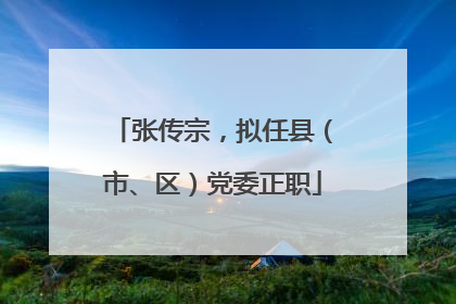 张传宗，拟任县（市、区）党委正职