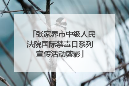 张家界市中级人民法院国际禁毒日系列宣传活动剪影