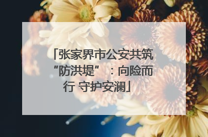 张家界市公安共筑“防洪堤”：向险而行 守护安澜