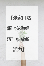 张家口沽源“花海经济”绽放新活力