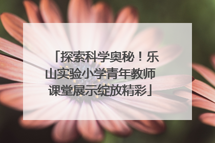 探索科学奥秘！乐山实验小学青年教师课堂展示绽放精彩