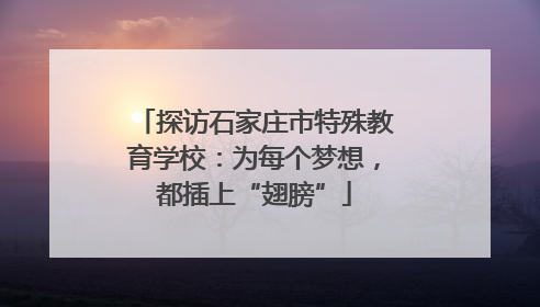 探访石家庄市特殊教育学校：为每个梦想，都插上“翅膀”
