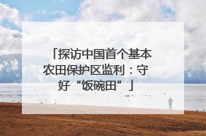 探访中国首个基本农田保护区监利：守好“饭碗田”