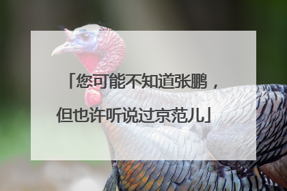 您可能不知道张鹏，但也许听说过京范儿