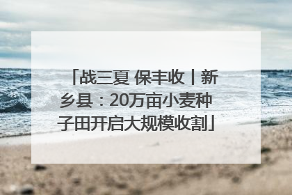 战三夏 保丰收丨新乡县：20万亩小麦种子田开启大规模收割