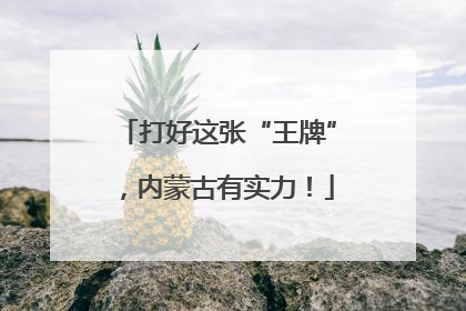 打好这张“王牌”，内蒙古有实力！