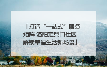 打造“一站式”服务矩阵 洛阳定鼎门社区解锁幸福生活新场景