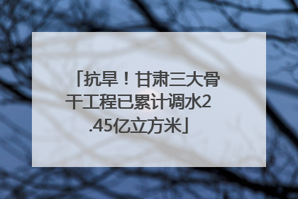 抗旱！甘肃三大骨干工程已累计调水2.45亿立方米