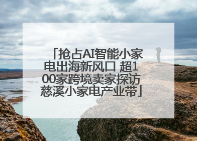 抢占AI智能小家电出海新风口 超100家跨境卖家探访慈溪小家电产业带