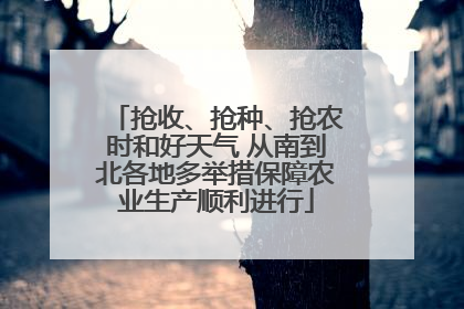 抢收、抢种、抢农时和好天气 从南到北各地多举措保障农业生产顺利进行