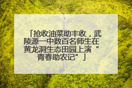 抢收油菜助丰收，武陵源一中数百名师生在黄龙洞生态田园上演“青春助农记”