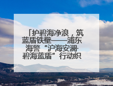 护碧海净浪，筑蓝盾铁壁——浦东海警“沪海安澜·碧海蓝盾”行动织密立体防控网