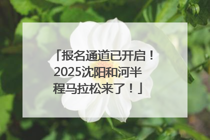 报名通道已开启！2025沈阳和河半程马拉松来了！