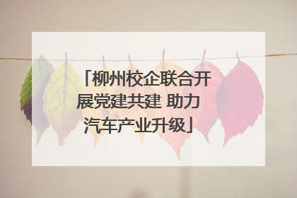 柳州校企联合开展党建共建 助力汽车产业升级
