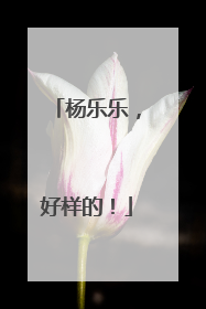 杨乐乐，好样的！