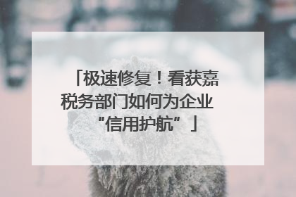 极速修复！看获嘉税务部门如何为企业“信用护航”