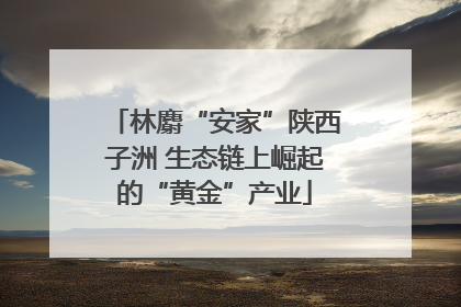 林麝“安家”陕西子洲 生态链上崛起的“黄金”产业