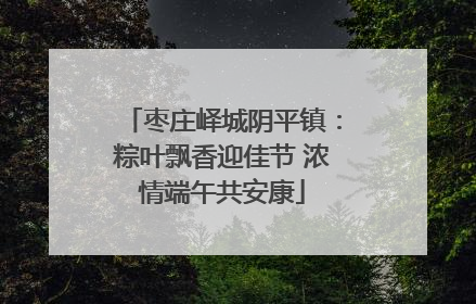 枣庄峄城阴平镇：粽叶飘香迎佳节 浓情端午共安康