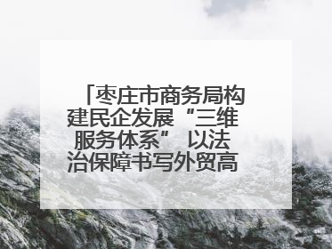枣庄市商务局构建民企发展“三维服务体系” 以法治保障书写外贸高质量答卷