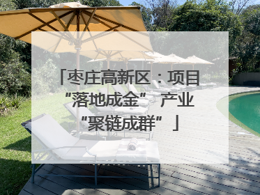 枣庄高新区：项目“落地成金” 产业“聚链成群”