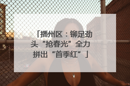 播州区：铆足劲头“抢春光”全力拼出“首季红”